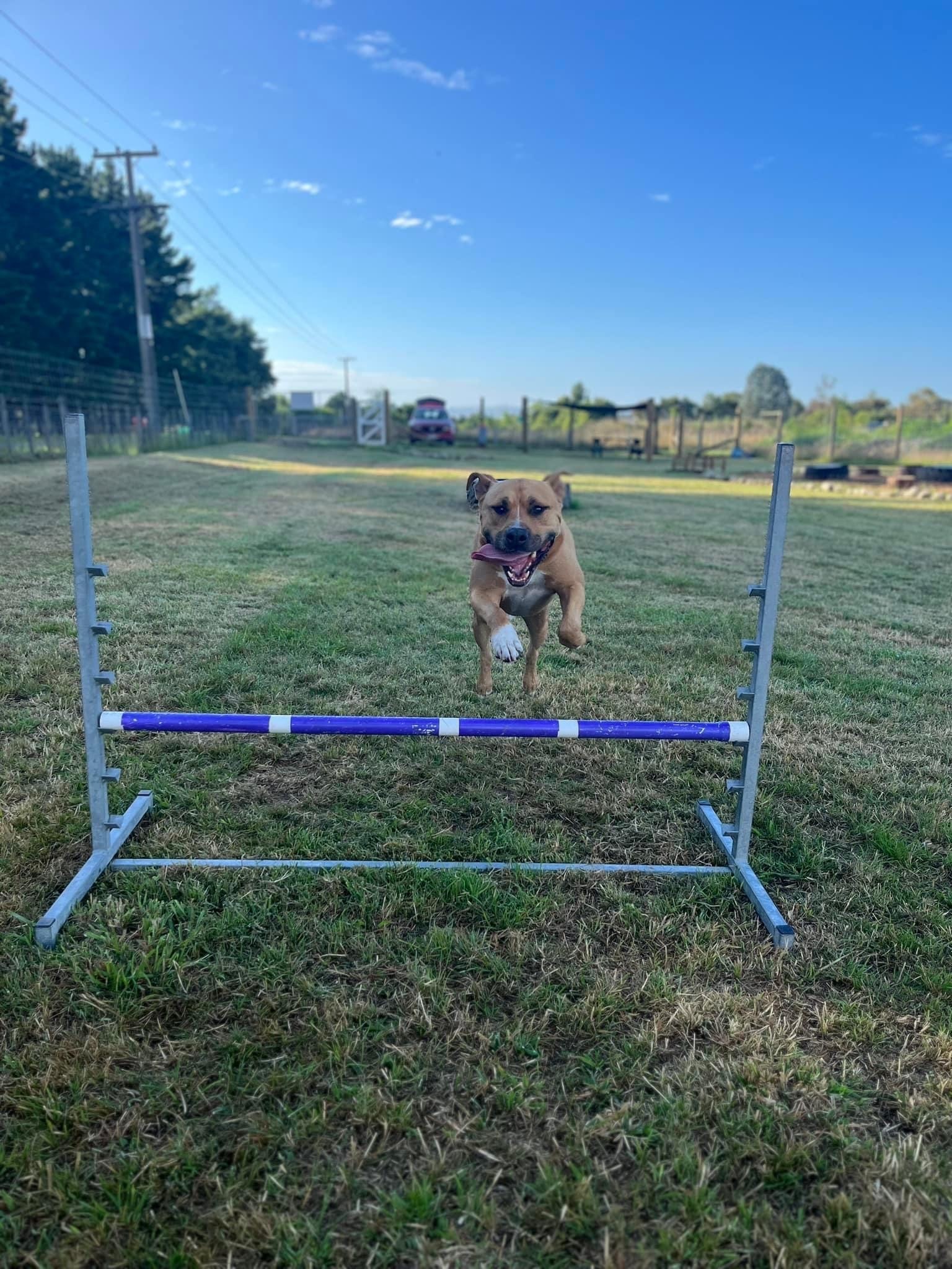 View of The PentHouse | Apartment in Pretoria - Rent By Owner