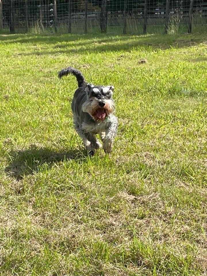 Wagspot Private Dog Park