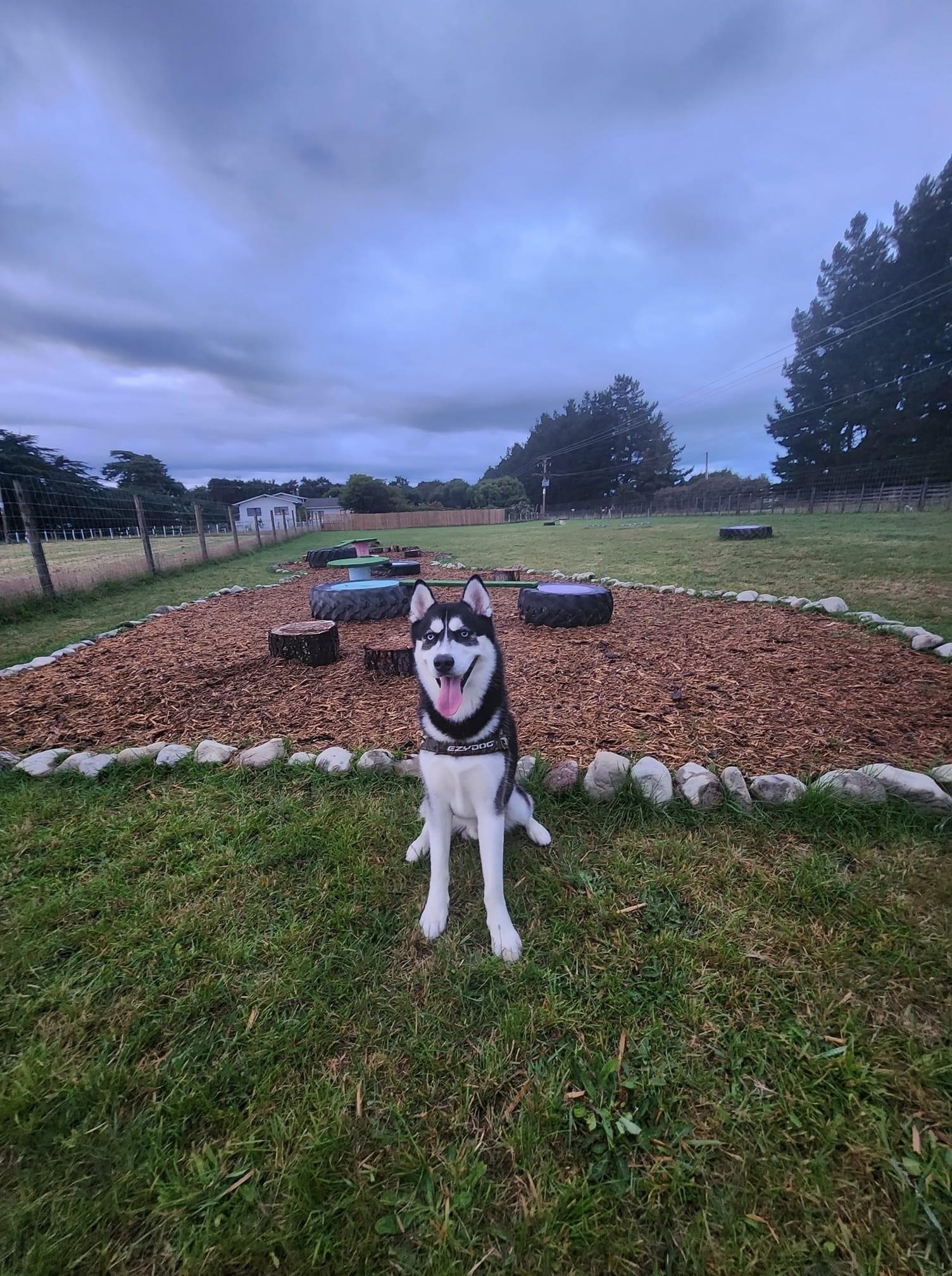 wagspot-private-dog-park