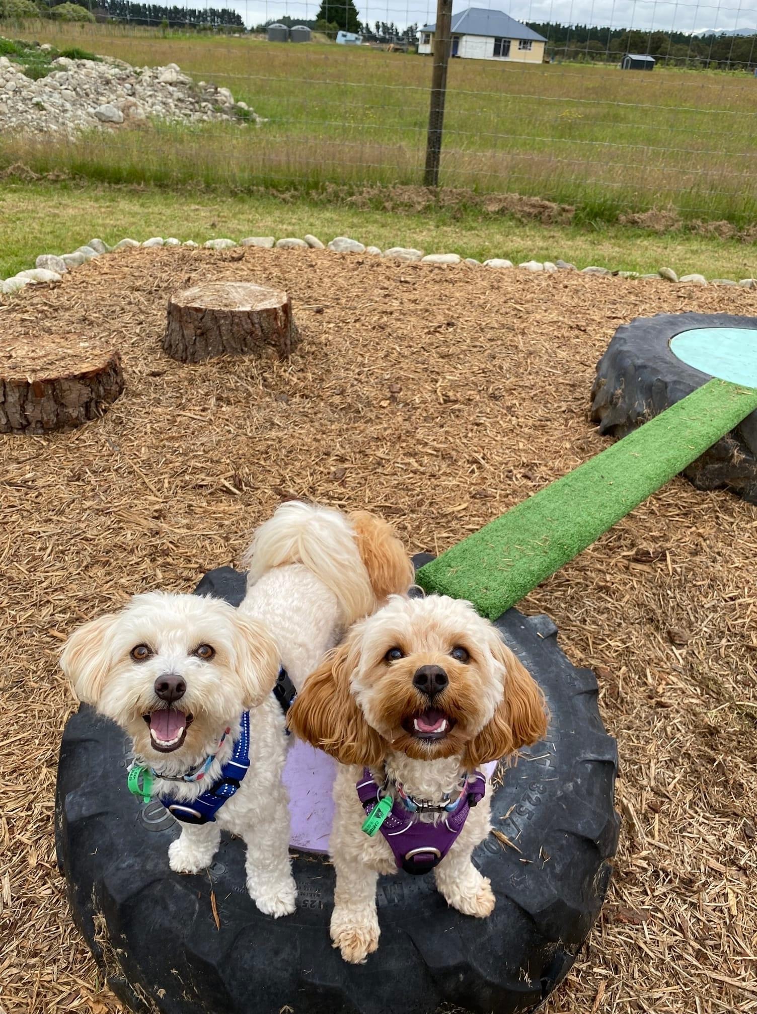 Beautiful view of Industrial Style Penthouse Condo With Private Dog Park